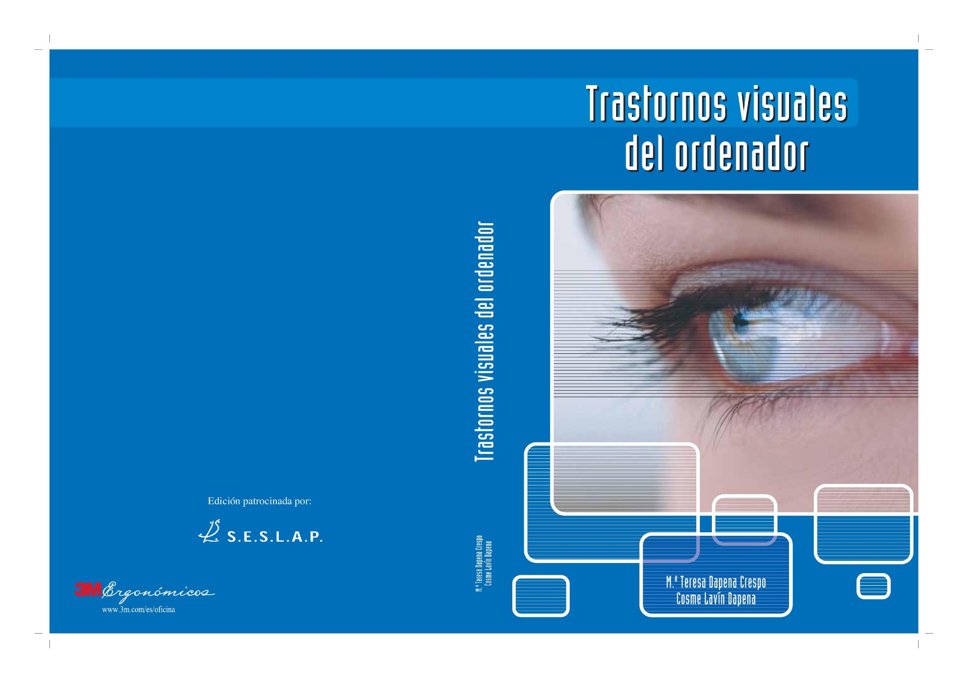 Portada del libro Trastornos visuales del ordenador (2005)